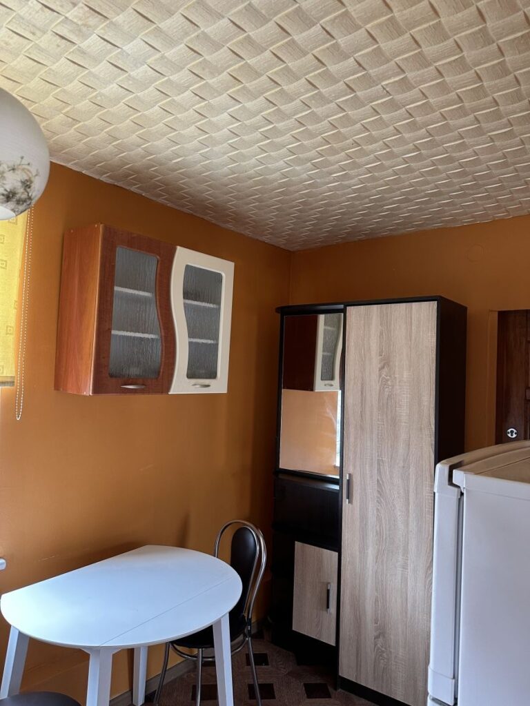 Pigiai išlaikomas renovuotame name suremontuotas 1kambario butas su baldais,buitine technika